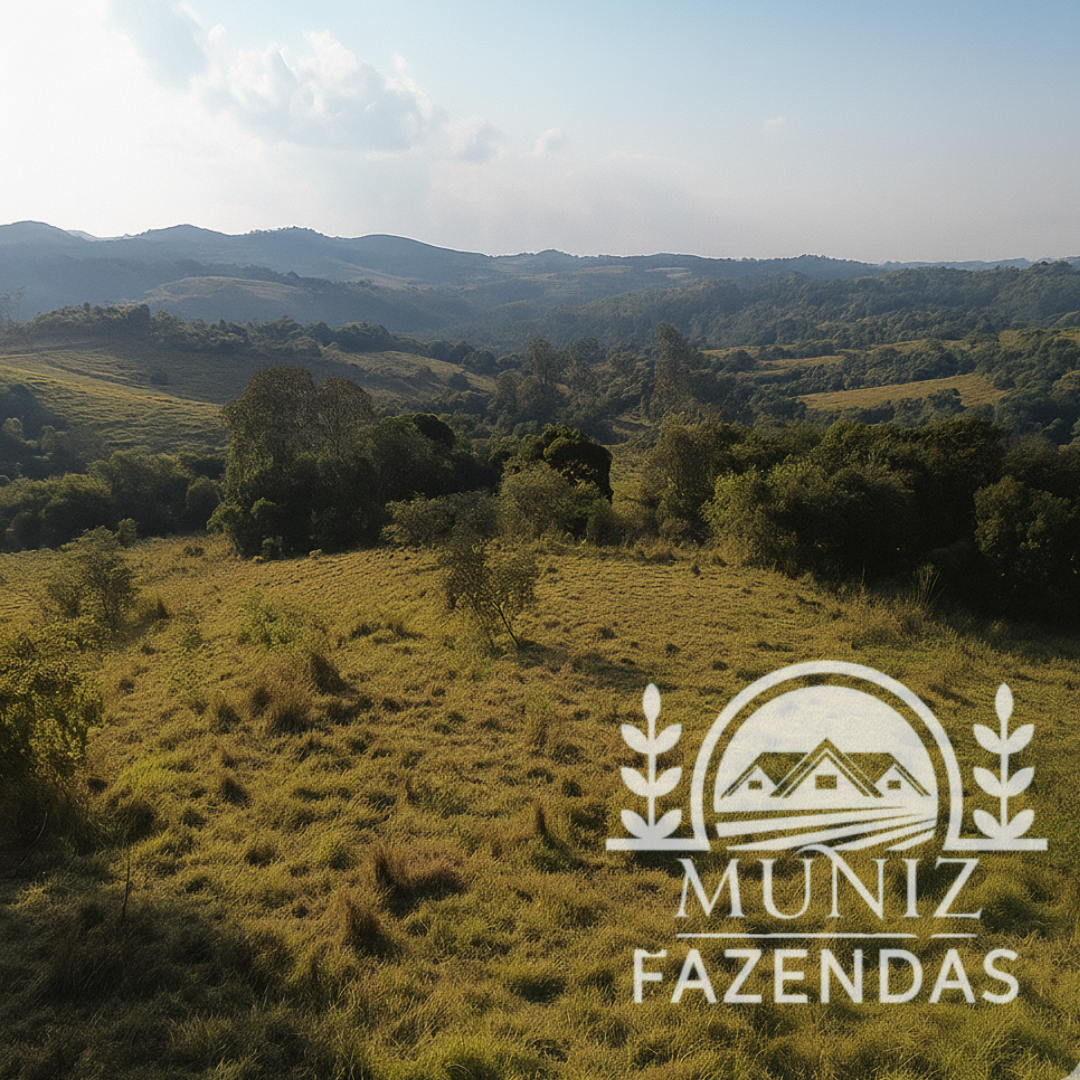 Propriedade em Nepomuceno