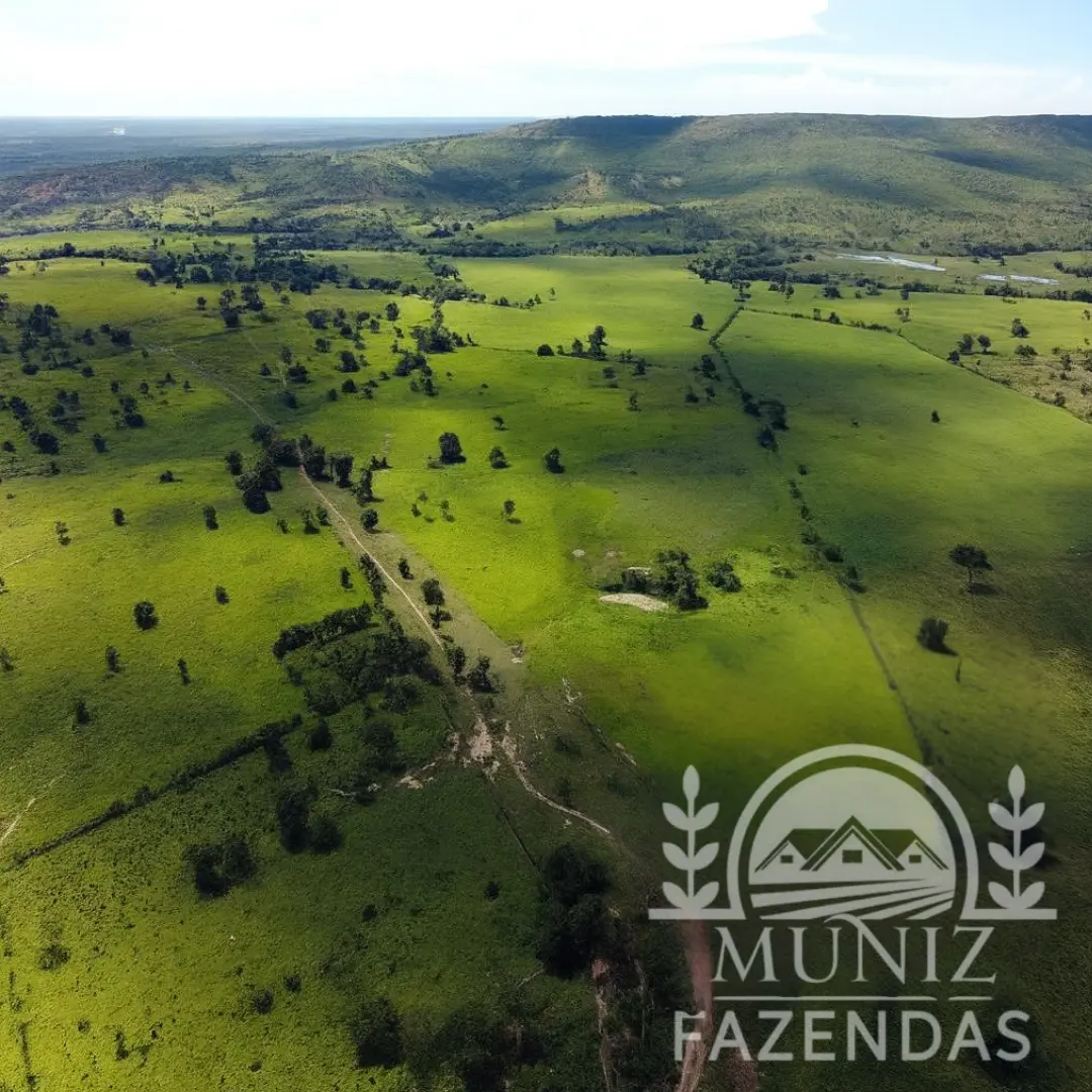 Fazenda em Ibiaí - 2