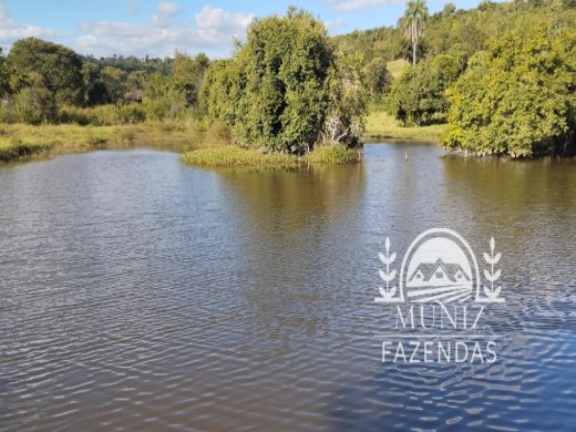Fazenda em Ibiaí — MG