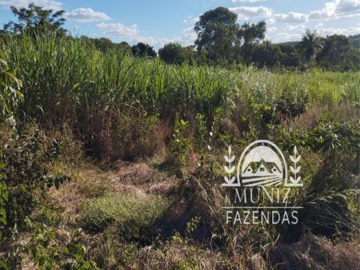 Fazenda em Ibiaí — MG - 3